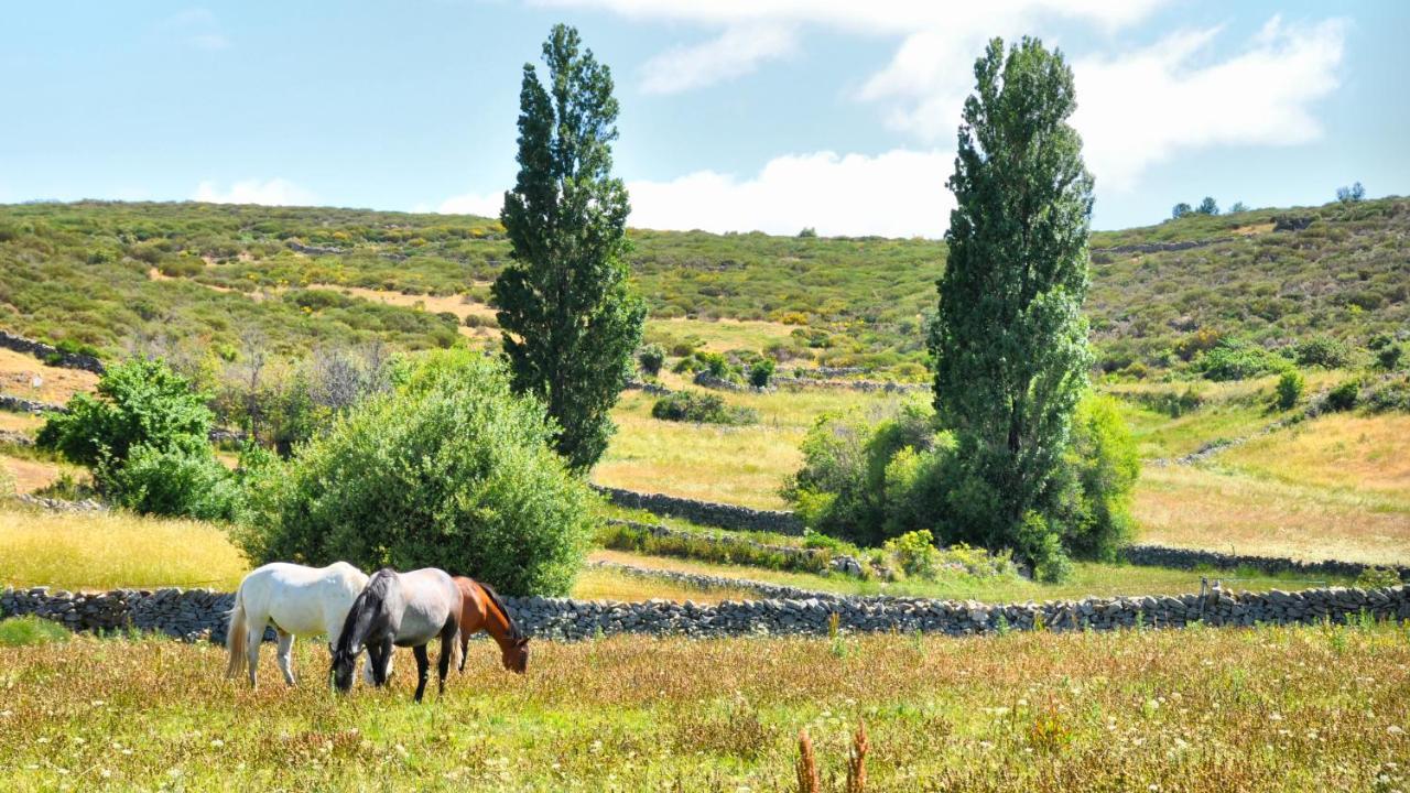 Casa rural Casa Spa La Ávila